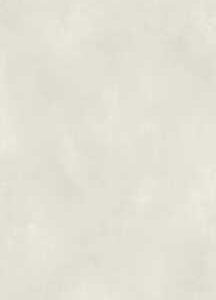 Керамогранит FAP Ceramiche fOTV Color Now Bianco Silk 120x278